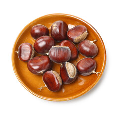 chestnut on a white background