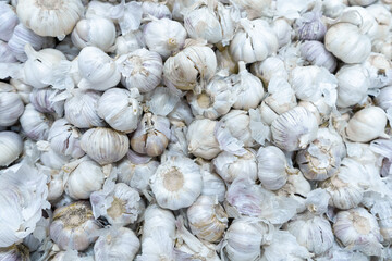 Garlic heads. Lots of garlic. The frame is filled with garlic