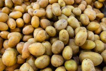 Potato. Lots of potatoes. The frame is filled with potatoes