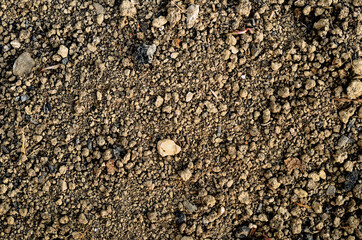 Black nourishing ground prepared for planting. Spring field preparation for sowing texture background.