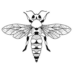 Vector realistic wasp. Eps 10  illustration can be used for party invitation, design template, greeting card, patterns fill, posters,logo, tattoo, branding. Design element for your project.