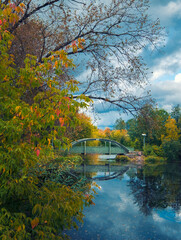 Beautiful  green bridge over the pond in the park of the city of Tikhvin Russia in early autumn