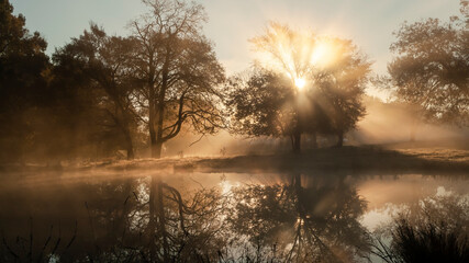 Sunbeams and reflections on a foggy dawn in golden light