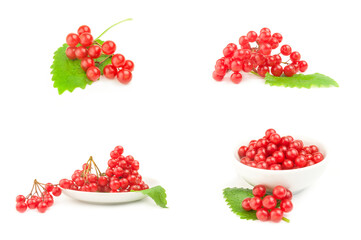 Collage of bunch of red berries- guelder rose