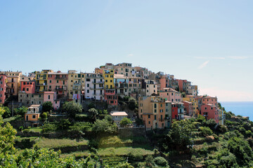 Fototapeta na wymiar Il tipico paese di Corniglia alle Cinque Terre