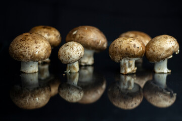 mushrooms on black background