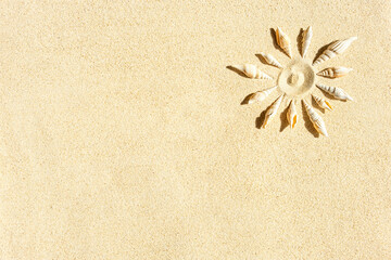 Fototapeta na wymiar Sun made form seashells on clean sand, top view, copy space , natural background