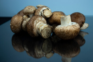 mushroom on blue background