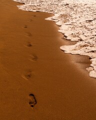 Footprints in the sand on a beach