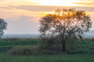 sunset of valleys of Comacchio adriatic sea po delta regional park