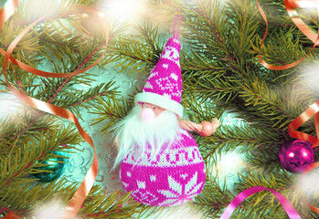 Christmas background with Santa Claus and green branches, Christmas fir tree