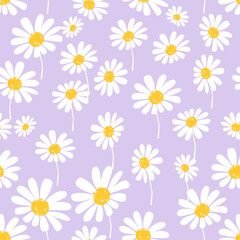 Seamless pattern with daisy flower on purple background vector illustration.