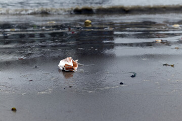 Face Mask discarded on a beach which is cause of environmental damage during this pandemic.