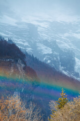 rainbow 