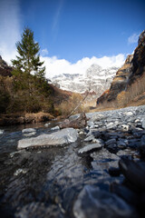 mountain river in winter