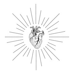 Vector realistic organ human heart . Eps 10 illustration can be used for party invitation, design template, greeting card, patterns fill, posters,logo, tattoo, branding. Design element 