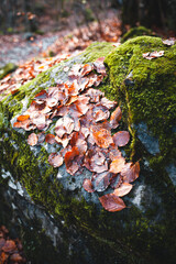 comme une couverture qui recouvre le rocher 