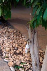 A kids medical mask on the tree. Protection from world coronavirus epidemic concept Discarded used medical masks. Coronavirus contributes to environmental pollution.