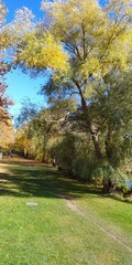 Paseo otoñal a la orilla del río