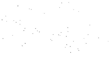 Flock of birds isolated on white background