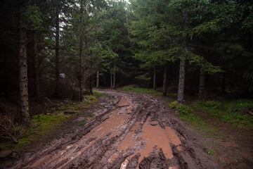 Forest road in mountains covered in red mud after rain