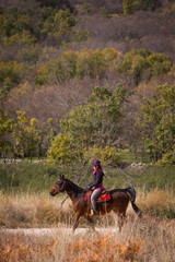 Side view of female horse rider and oak forest in the background.