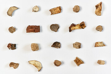Pieces of dried mushrooms on a light background