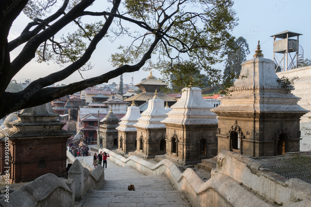 Wall mural Temple de Pashupatinath, Népal