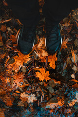 Look down of hiking sport shoes with orange colorful autumn leaves on the ground background