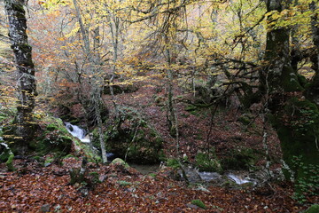 Castilla y León. León. Argovejo. Paleta de COLORES.