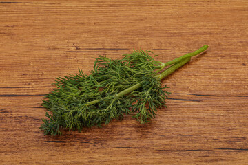 Aroma seasoning - Green Dill branch