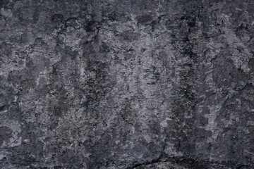 gray stucco grunge wall, abstract background gray wall blank