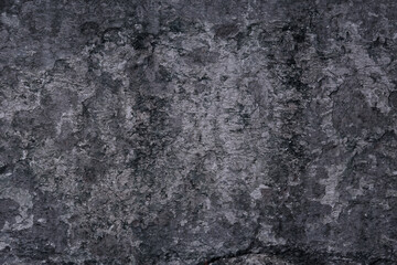 Fototapeta premium gray stucco grunge wall, abstract background gray wall blank