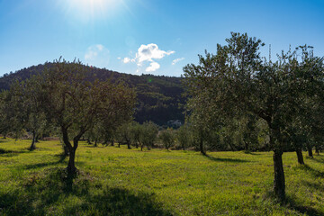 Molise, Italy.  Spectacular autumn panorama.