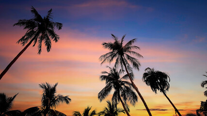 Obraz na płótnie Canvas Silhouette of palm trees with sunset sky background,Summer mood