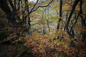 Obraz premium Castilla y León. León. Argovejo. Paleta de COLORES.