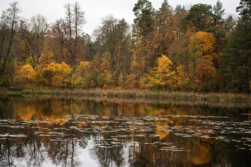The autumn shore of the lake with the reflection of trees in the water surface