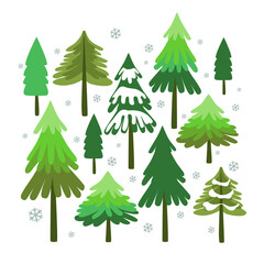 .Winter forest. Christmas trees set. Cartoon vector illustration.. Isolated design objects on a white background. Clipart..