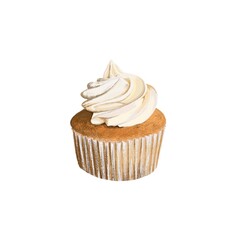 A cupcake isolated on white background