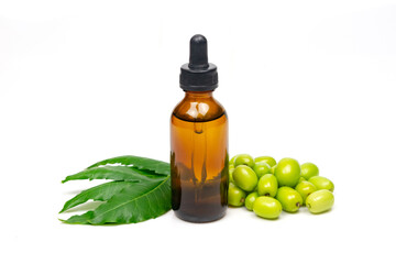 Neem oil in bottle and neem leaf and fruit isolated on white background. Neem oil is an excellent moisturizing oil and contains various compounds that have insecticidal and medicinal properties.