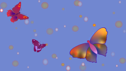 Fototapeta na wymiar Three butterflies with different colors and styles. Circles on background. Abstract.