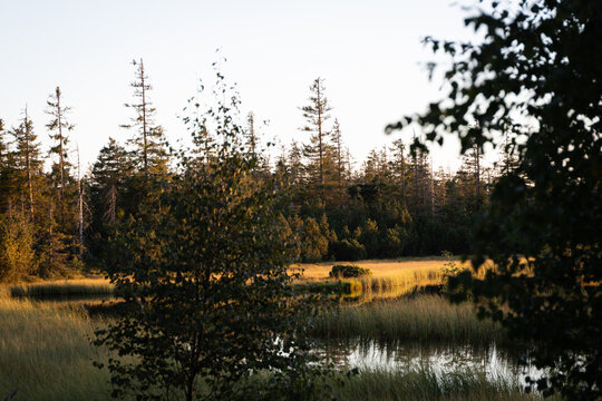 Hohloh lake