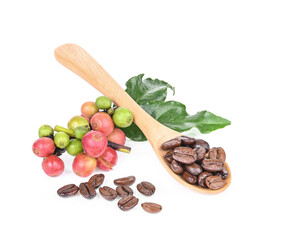 coffee beans  isolated on white background