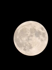 2020年で″最小″の満月