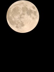 2020年で″最小″の満月