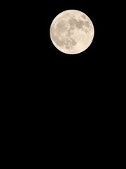 2020年で″最小″の満月