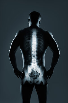 Human spine in x-ray on gray background