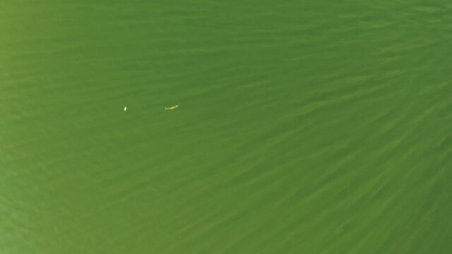 Les eaux