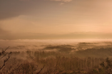foggy landscape at sunrise