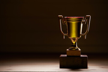 trophy on the wood background